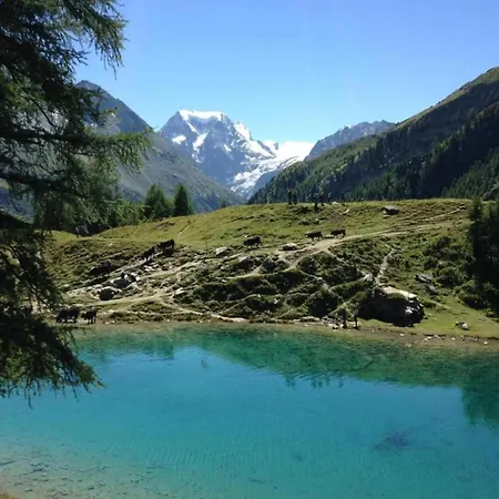 Flat In Near Lift & Slopes شقة