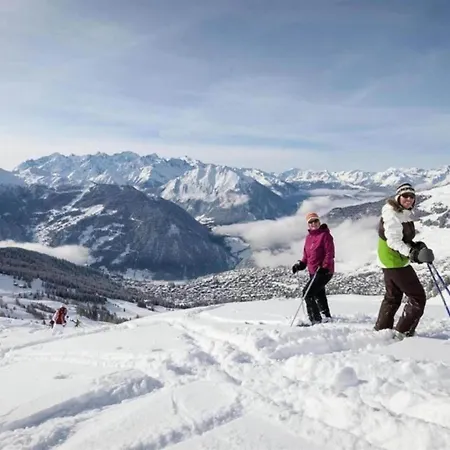 Apartment Flat In Near Lift & Slopes Nendaz