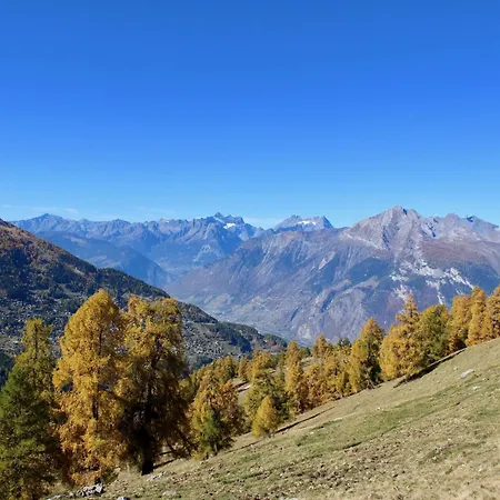 Flat In Near Lift & Slopes شقة *