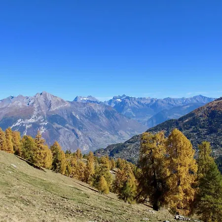 Flat In Near Lift & Slopes Nendaz