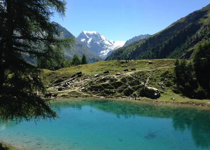 Flat In Near Lift & Slopes アパート