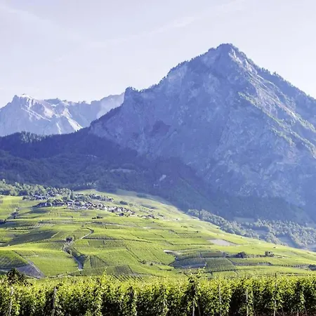 Flat In Near Lift & Slopes Daire Nendaz