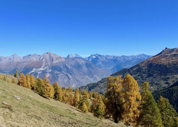 Flat In Near Lift & Slopes Nendaz