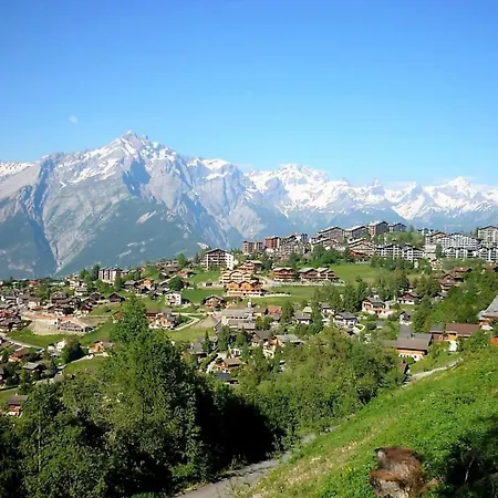 Apartament Flat In Near Lift & Slopes