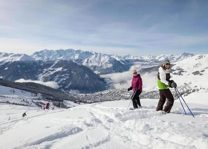 Apartment Flat In Near Lift & Slopes Nendaz